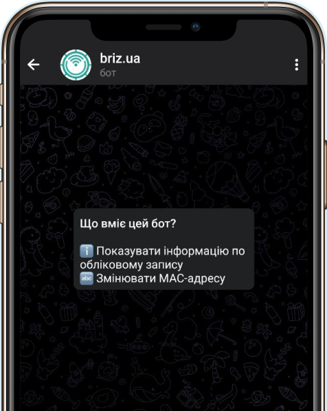 phone